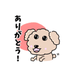 トイプードルの食いしん坊レオくん（個別スタンプ：3）