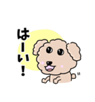 トイプードルの食いしん坊レオくん（個別スタンプ：4）