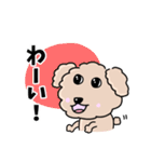 トイプードルの食いしん坊レオくん（個別スタンプ：7）