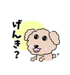 トイプードルの食いしん坊レオくん（個別スタンプ：10）