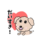 トイプードルの食いしん坊レオくん（個別スタンプ：11）