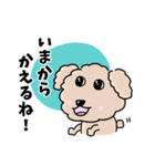 トイプードルの食いしん坊レオくん（個別スタンプ：12）