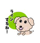 トイプードルの食いしん坊レオくん（個別スタンプ：13）
