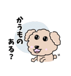 トイプードルの食いしん坊レオくん（個別スタンプ：16）