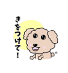 トイプードルの食いしん坊レオくん（個別スタンプ：19）