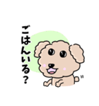 トイプードルの食いしん坊レオくん（個別スタンプ：20）