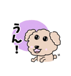 トイプードルの食いしん坊レオくん（個別スタンプ：21）