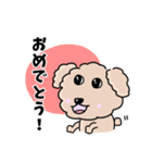トイプードルの食いしん坊レオくん（個別スタンプ：22）