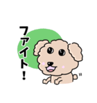 トイプードルの食いしん坊レオくん（個別スタンプ：23）