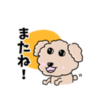 トイプードルの食いしん坊レオくん（個別スタンプ：25）