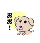 トイプードルの食いしん坊レオくん（個別スタンプ：27）