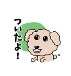 トイプードルの食いしん坊レオくん（個別スタンプ：28）