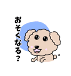 トイプードルの食いしん坊レオくん（個別スタンプ：29）
