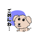トイプードルの食いしん坊レオくん（個別スタンプ：30）