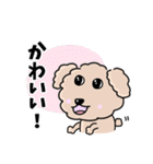トイプードルの食いしん坊レオくん（個別スタンプ：33）