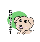 トイプードルの食いしん坊レオくん（個別スタンプ：34）