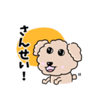 トイプードルの食いしん坊レオくん（個別スタンプ：38）