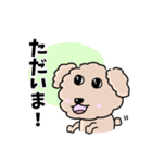 トイプードルの食いしん坊レオくん（個別スタンプ：40）