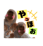 唯琳-スタンプ（個別スタンプ：9）