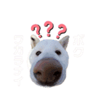 柴犬BAY2（個別スタンプ：3）