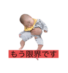 ふうちゃん.2（個別スタンプ：1）