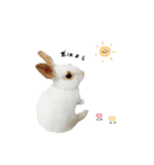 mnm pet ♥（個別スタンプ：1）