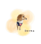 mnm pet ♥（個別スタンプ：2）