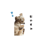 mnm pet ♥（個別スタンプ：3）