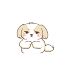 ふわまるシーズーの使えるスタンプ（個別スタンプ：24）