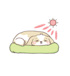 ふわまるシーズーの使えるスタンプ（個別スタンプ：34）