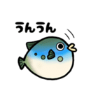 ふぐのぷぐちゃん（個別スタンプ：17）