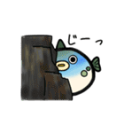 ふぐのぷぐちゃん（個別スタンプ：33）