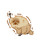 コロモドキ（個別スタンプ：30）
