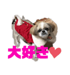 クッキークッキー（個別スタンプ：7）