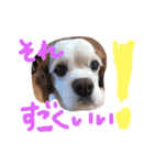 オムライスいぬ（個別スタンプ：4）