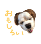 オムライスいぬ（個別スタンプ：5）