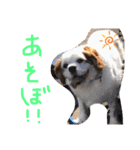 オムライスいぬ（個別スタンプ：9）