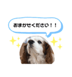 オムライスいぬ（個別スタンプ：15）