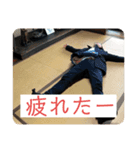 我らが樋口君の愛くるしいな〜_vol.2（個別スタンプ：5）