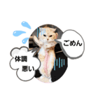 ねこのサスケさん3（個別スタンプ：2）