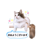 くるみとぽぽのスタンプ（個別スタンプ：2）