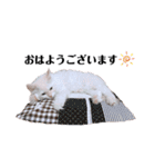 くるみとぽぽのスタンプ（個別スタンプ：3）