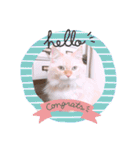 くるみとぽぽのスタンプ（個別スタンプ：4）