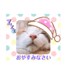 くるみとぽぽのスタンプ（個別スタンプ：11）