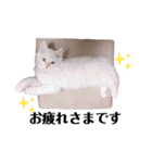 くるみとぽぽのスタンプ（個別スタンプ：13）