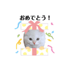 くるみとぽぽのスタンプ（個別スタンプ：21）
