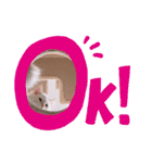 くるみとぽぽのスタンプ（個別スタンプ：28）