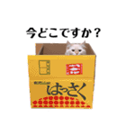 くるみとぽぽのスタンプ（個別スタンプ：34）