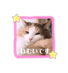 くるみとぽぽのスタンプ（個別スタンプ：39）