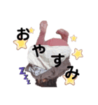 ゆずきちスタンプ♥（個別スタンプ：2）